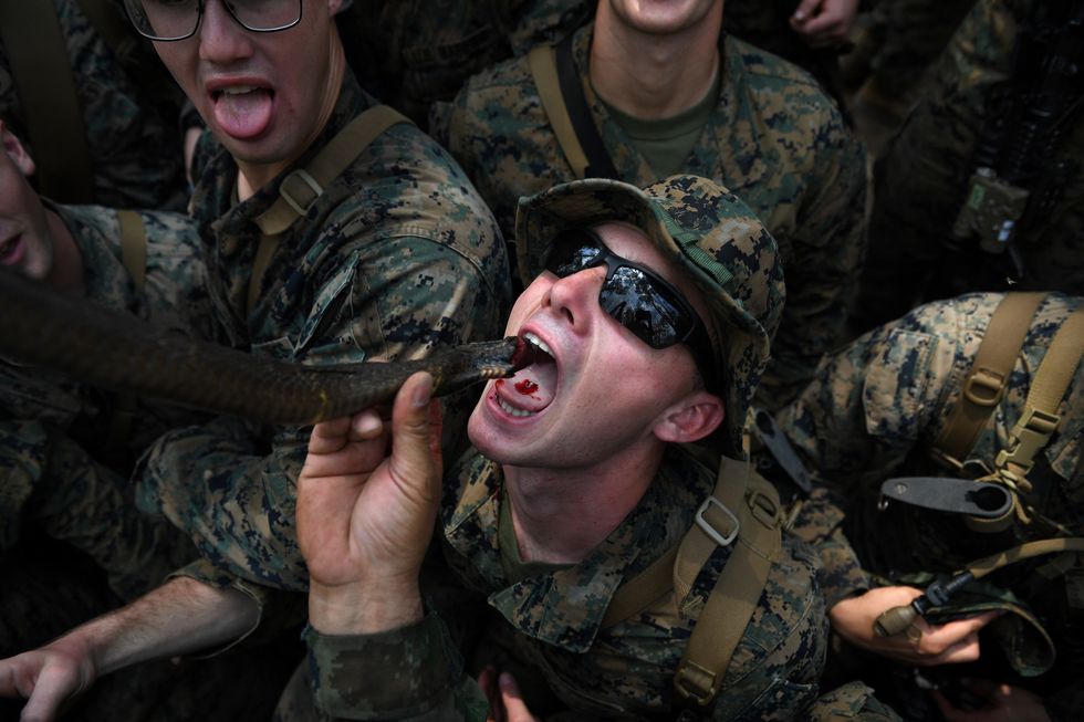 marine-drinks-snake-blood-during-a-jungle-survival-training-news-photo-1629404047.jpg