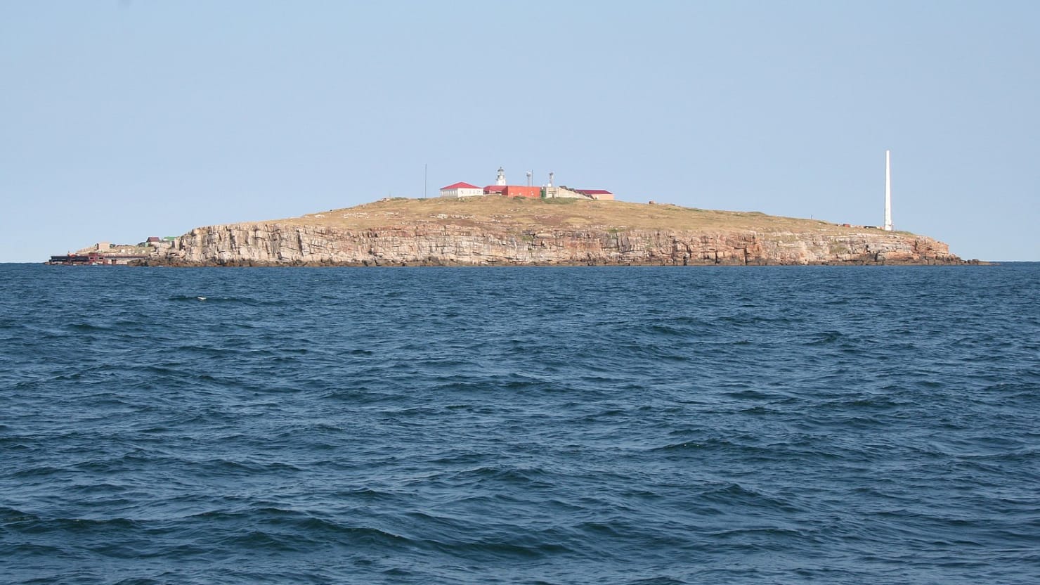 1599px-snake_island__black_sea__img_0535_nmzhqi.jpg