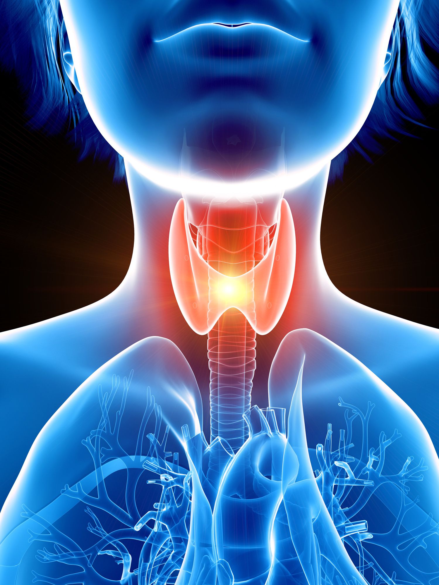 thyroid-gland-a810de053486473aa7ea956388becaaf.jpg